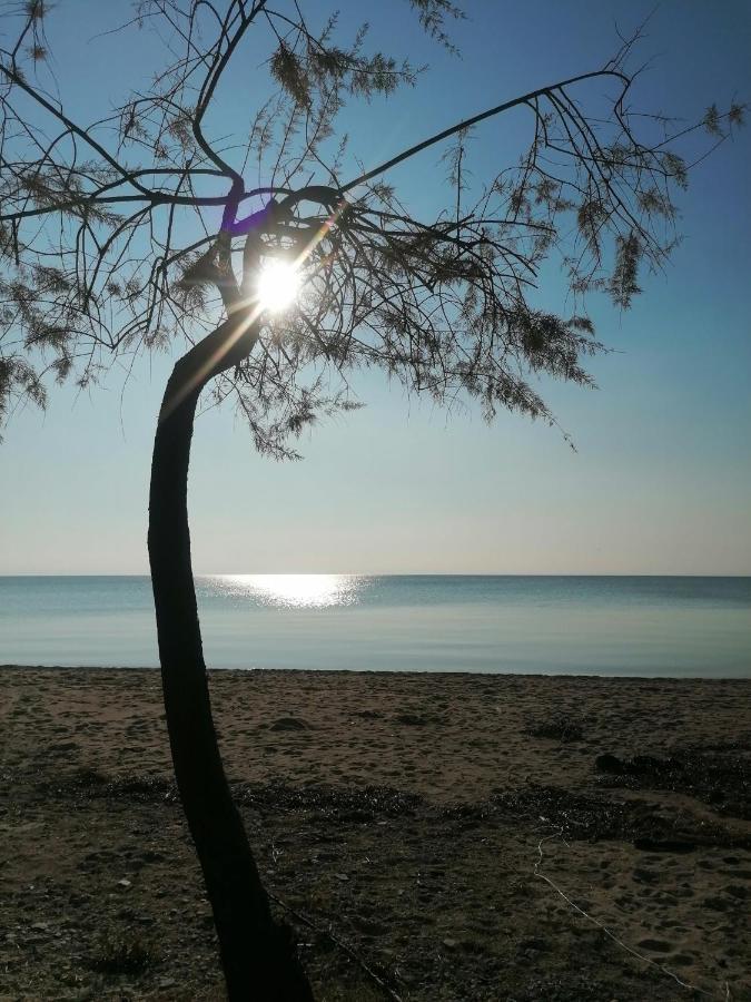 Villa K View Nikiti Dış mekan fotoğraf